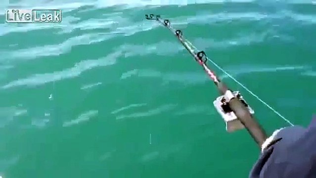 Ce pécheur ne s'attendait pas à un si gros poisson!!!