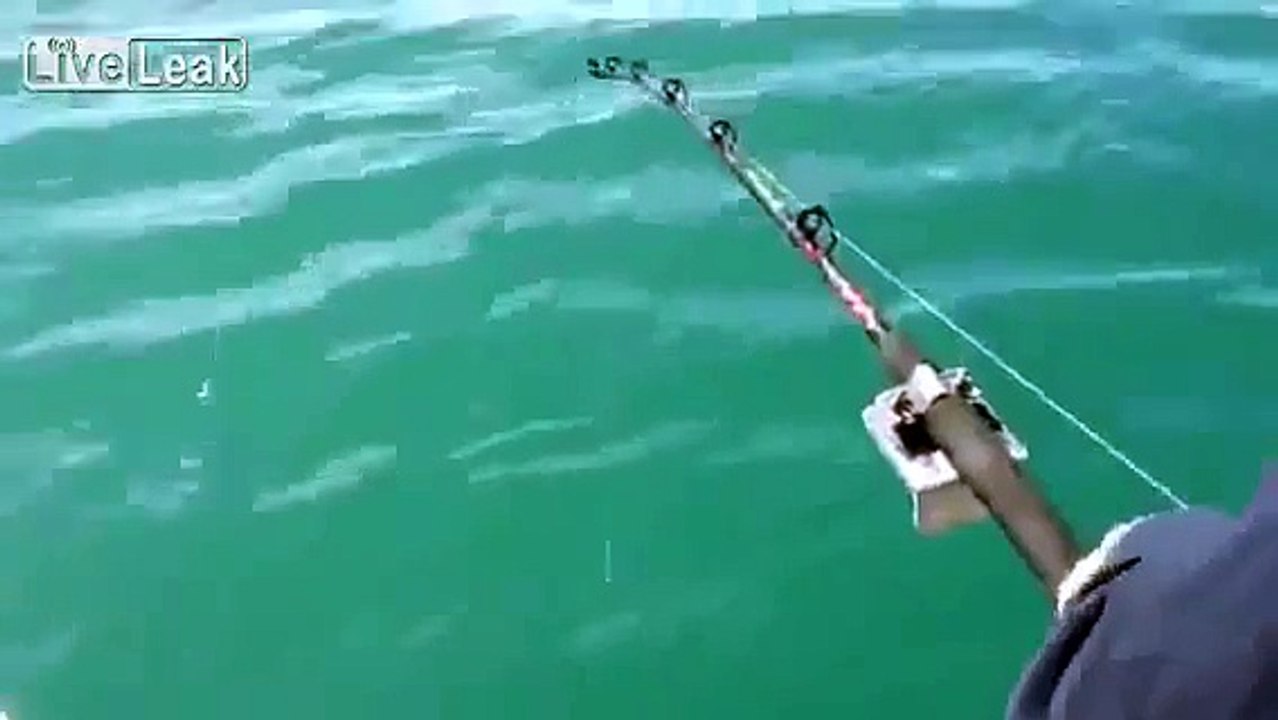 When you fish bigger than expected... Killer Whale!