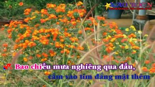 Karaoke Chuyện Vườn Sầu Riêng - Song ca với saobien