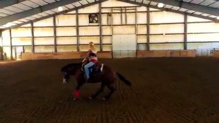Whispering Willows Ranch horsemanship experience