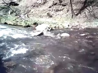 Unde-izvoraste-riul-Bega-m-tii-poiana-rusca