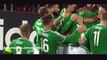 Goal McAuley - Faroe Islands 1-2 Northern Ireland - 04-09-2015  Euro Qualification