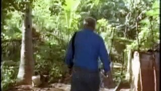Tropical Permaculture - Part 3