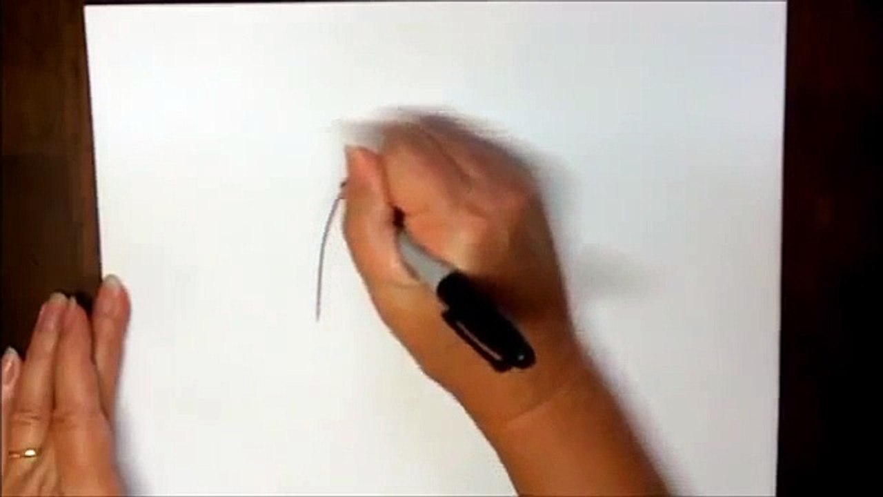 How to Draw a Turtle Step by Step for Beginners Cartoon Tortoise Easy Lesson