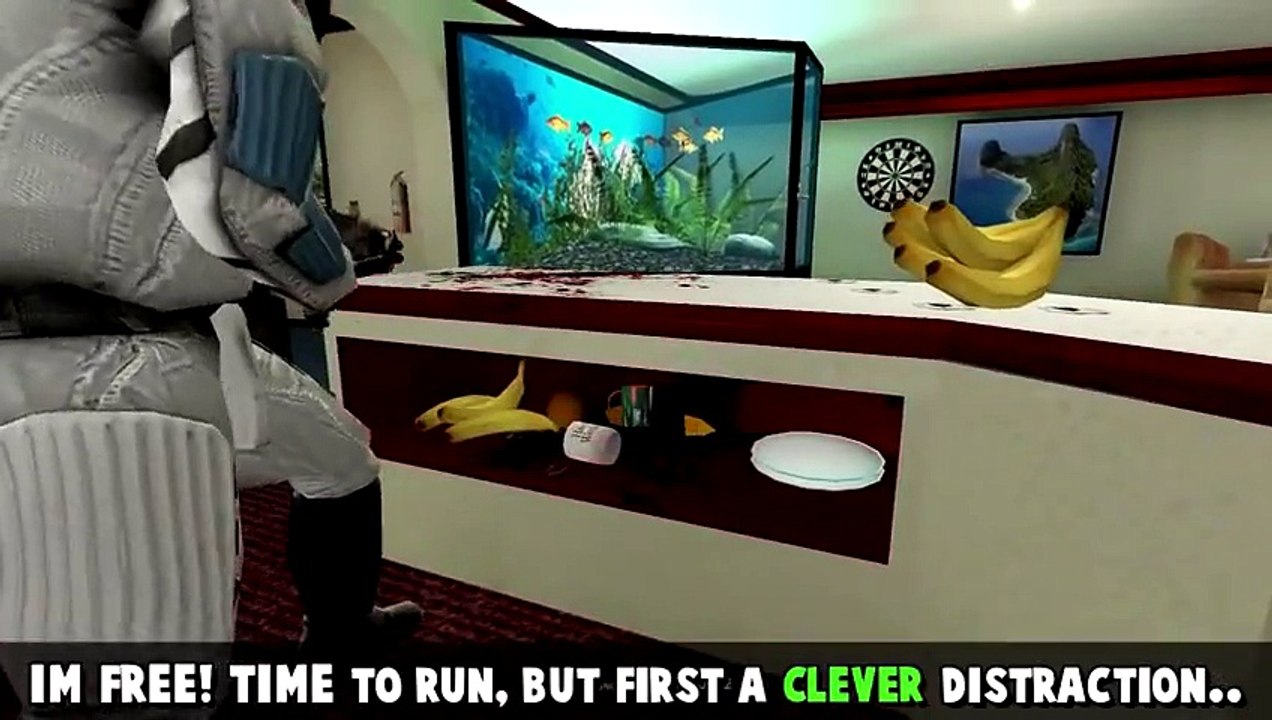 GTA 5 ¦ GTA 5 PC Online Funny Moments GET OUT OF MY KITCHEN!