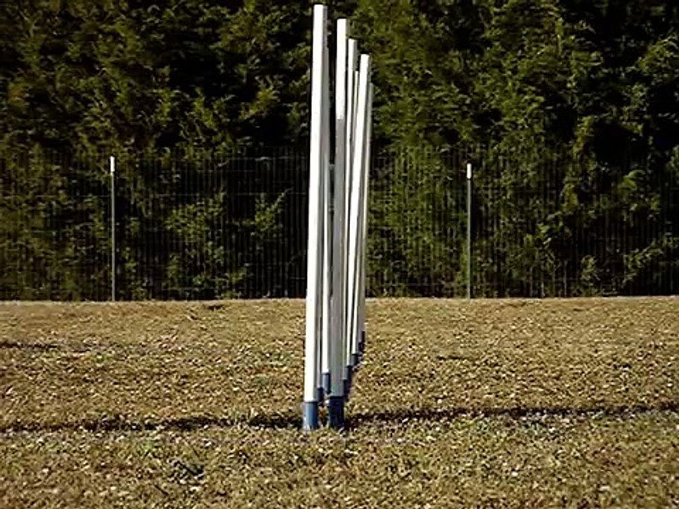 Gorgeous Agility Weave Training - Fifth Week