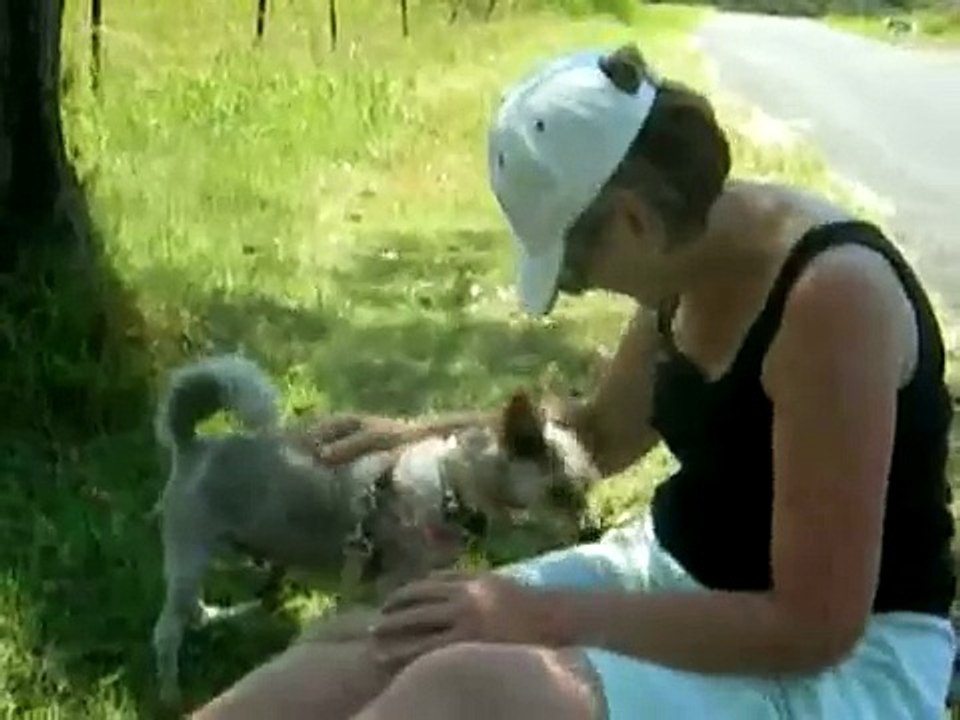 Monika's Doggie Rescue - Adopting Dogs - Fostering Dogs - Puppies