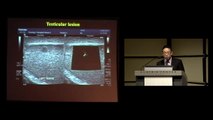 Prof. A. Lim: Abdominal and high-frequency ultrasound imaging