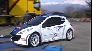 Test Peugeot 207 S2000 - Paolo Andreucci