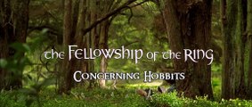 The Lord of the Rings: The Fellowship of the Ring (Soundtrack) - 02  Concerning Hobbits