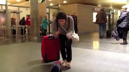 Overjoyed Dog Greets Owner at Oslo Airport