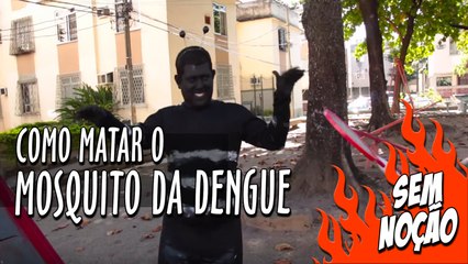Como matar o mosquito da dengue