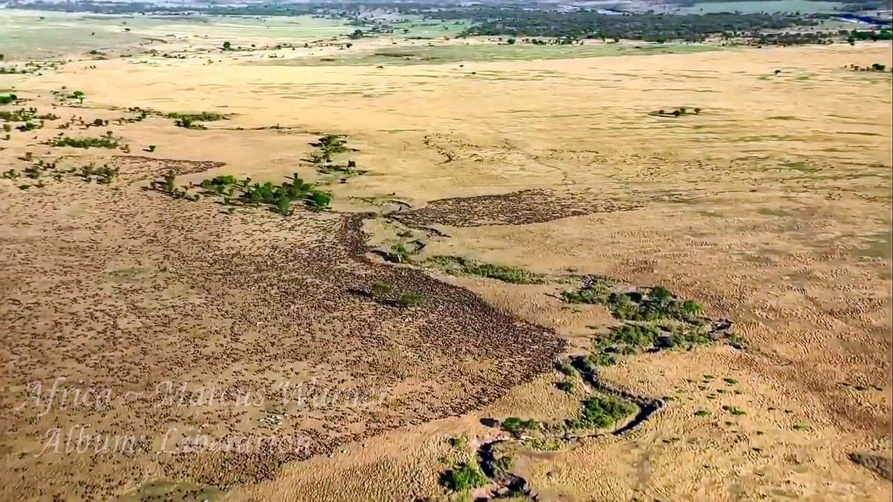 Epic Cinematic Music | Africa ~ Marcus Warner ~ Liberation