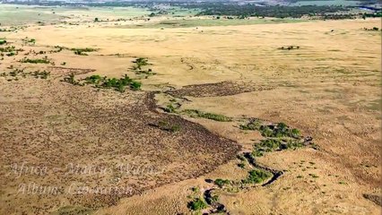Epic Cinematic Music | Africa ~ Marcus Warner ~ Liberation