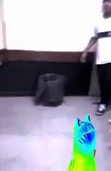 Lipão Vlogs' #sextamuitolouca feat: LC editor vlogueiro E amigos