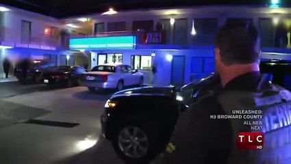Unleashed: K9 Broward County S01 E01 Parte 2