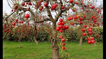 BEST MUSIC for Studying, Concentration, and Work!