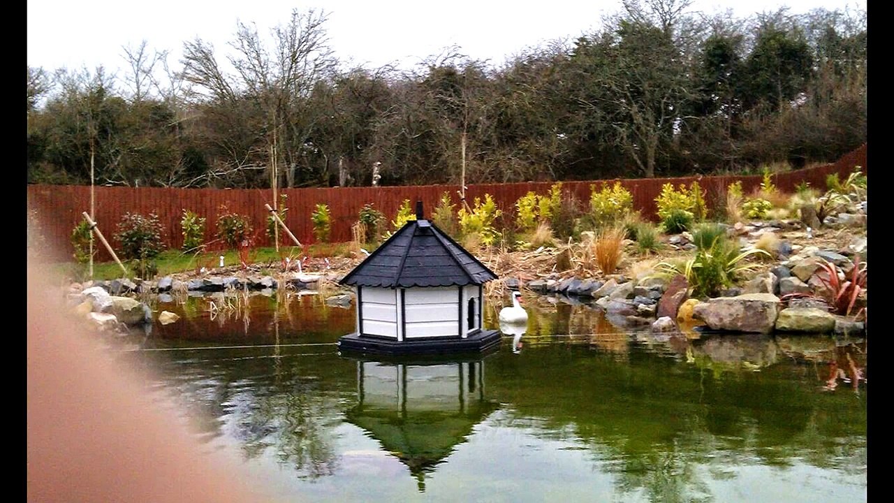 Dovecotes.  http://www.welshdovecotes.co.uk/ also, Tit cotes and bird tables for spring 2015