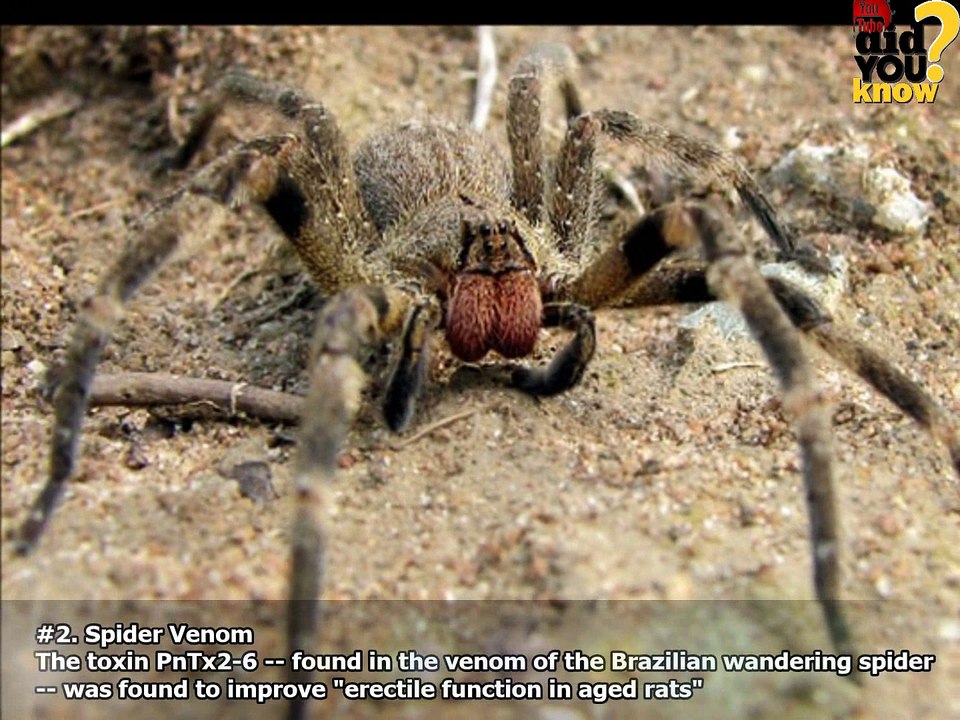 Erectile Dysfunction Treatments ★★ Top 10 Natural ED Treatments ★★