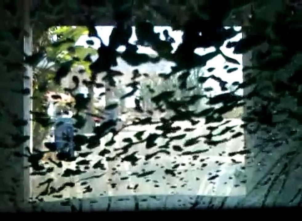 carwash