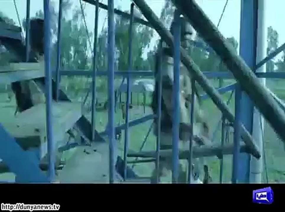 Ooncha, Official PAF 50th Anniversary Music Video.