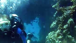 צלילה באתר המערות