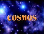 Carl Sagan   Cosmos