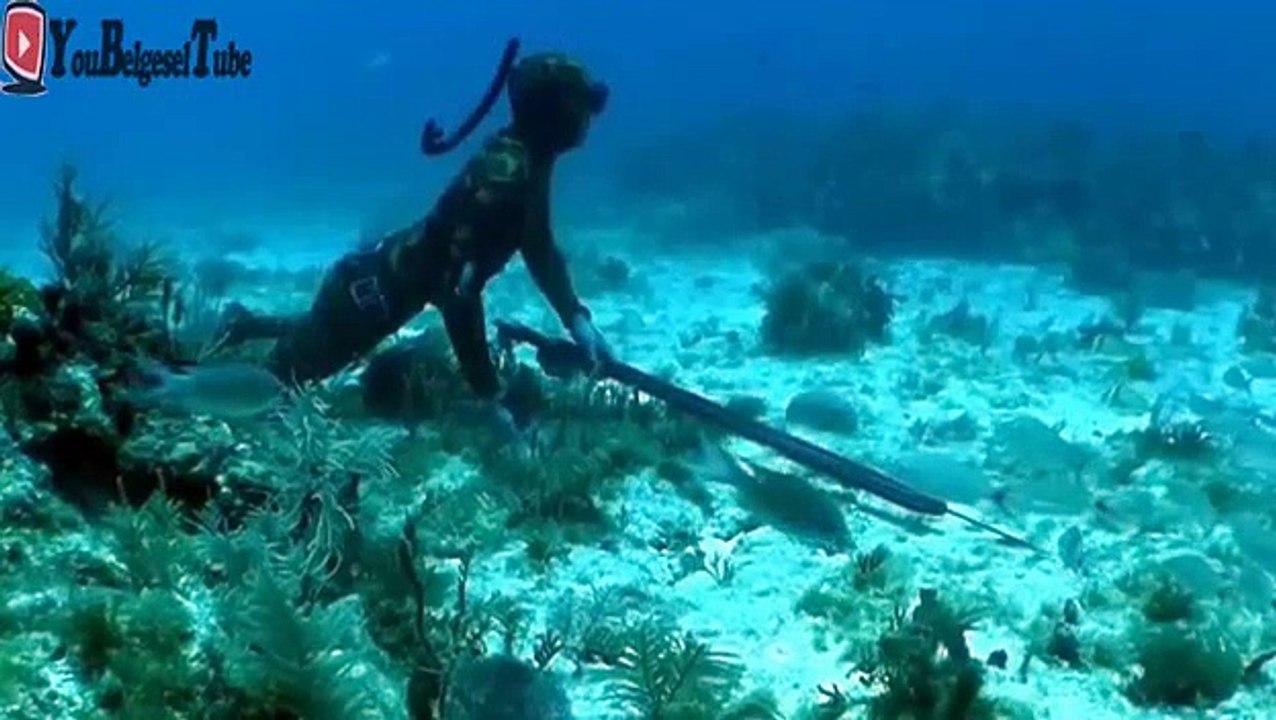 Zıpkın Avı Belgeseli