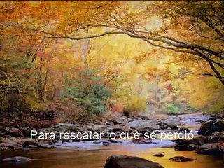 REFLEXION  - MI IGLESIA