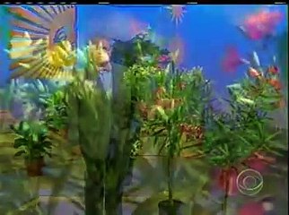 CBS News Sunday Morning Investigates Wicked Plants at BBG