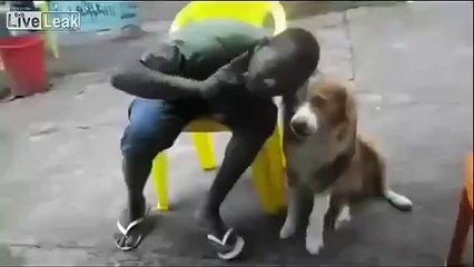 dog bites Black man in face