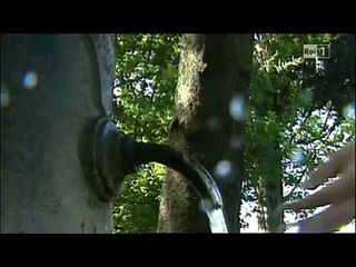 ImmediaTest - acqua presentato a Super Quark di Piero Angela