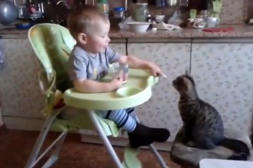 Too Cute Friends | Baby Feeds a His Kitten