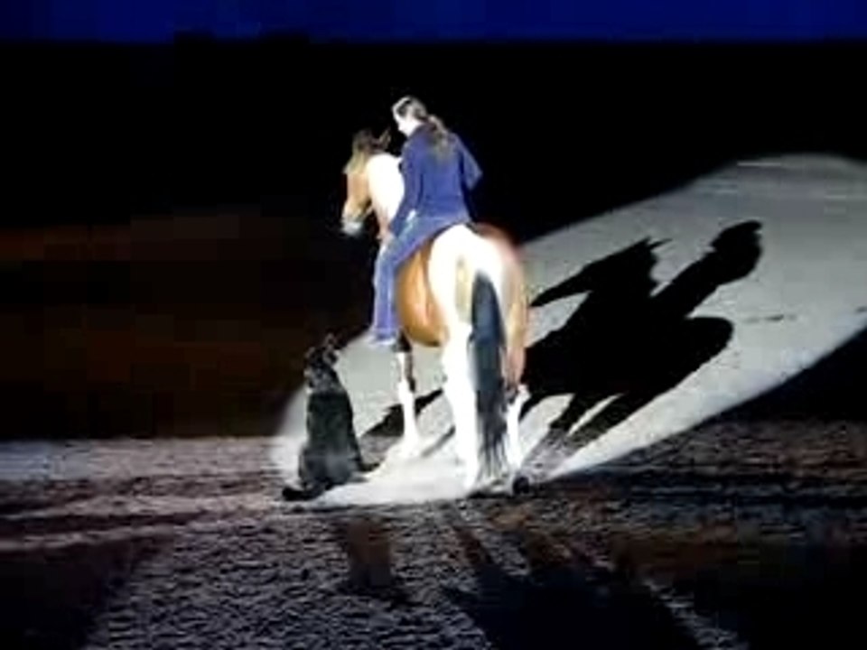 horse and dog