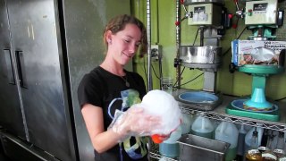 Hawaii Shave Ice