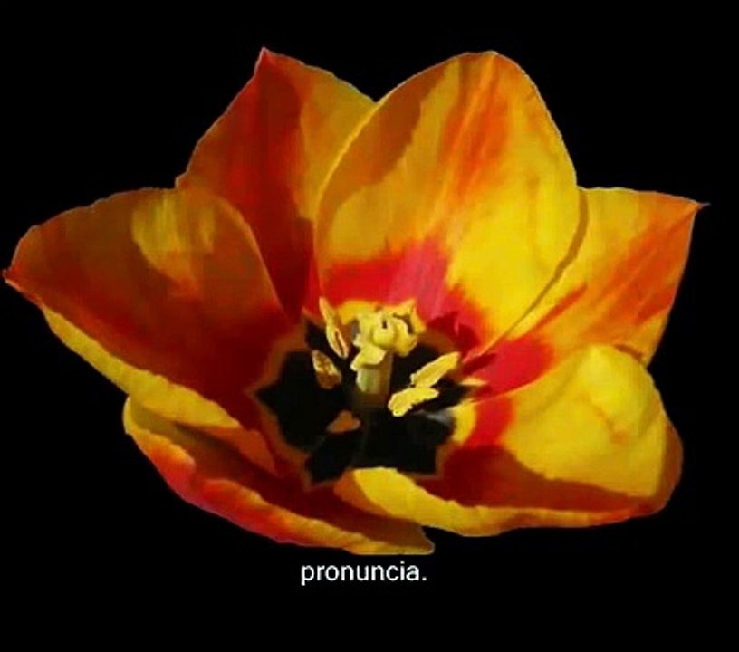 SILENZIO (Kahlil Gibran)