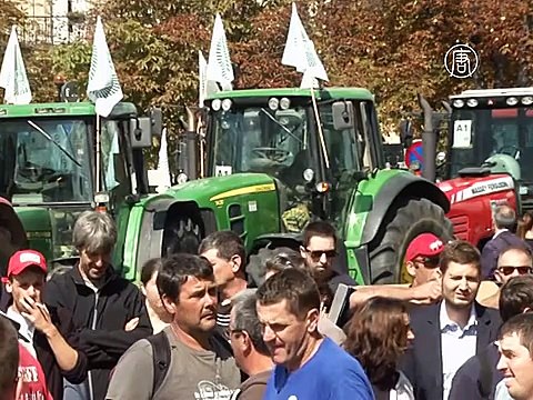 Протестующие фермеры Франции добились своего