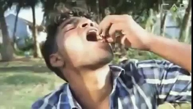 Only for strong stomachs Indian man eats insects and worms