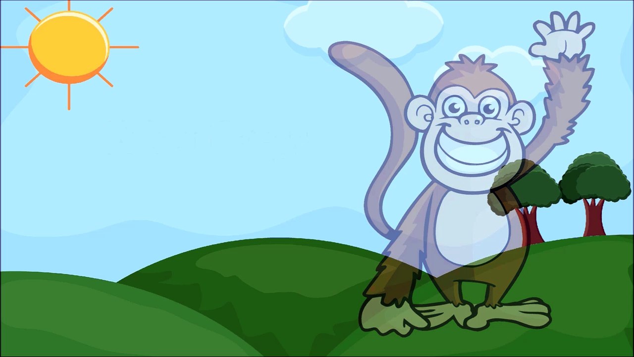 Favorite Animals for Kids