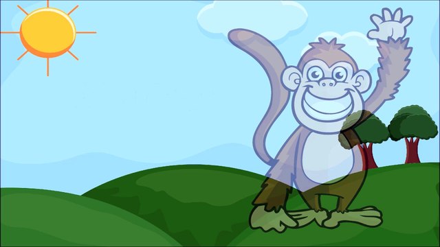 Favorite Animals for Kids