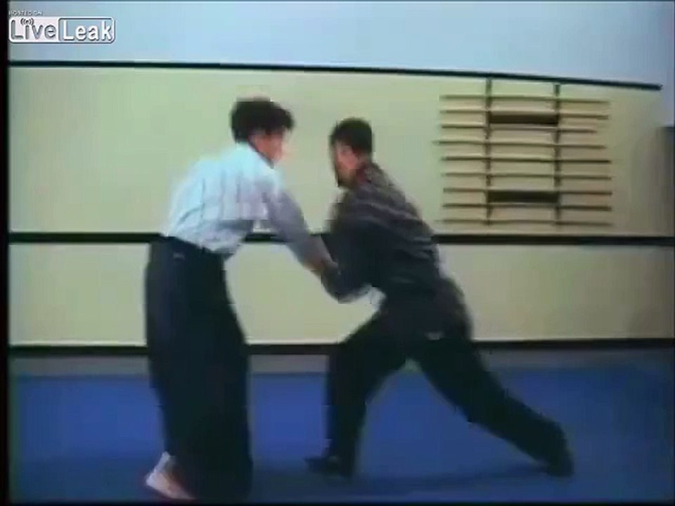 Hapkido Master Fighting