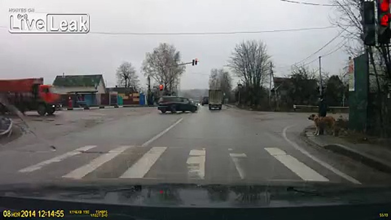 Guy lets dog loose so it can tear a stray dog to pieces.