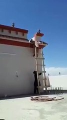 Be careful with this guy's