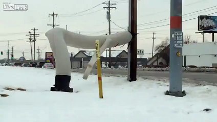 Twerking Inflatable Tube Girl