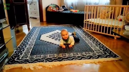 Animals can be so annoying - Funny animal compilation