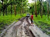 Funny Jeep Ride, Muthanga Wayanad Kerala India