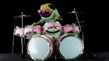 Funny Bulldog plays Metallica Enter Sandman on the drums