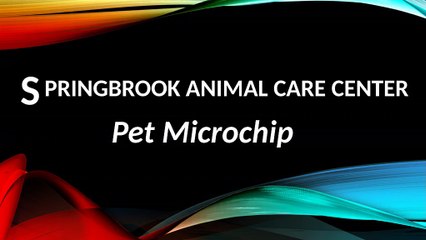 Springbrook Animal Care Center : Dedication and Passion
