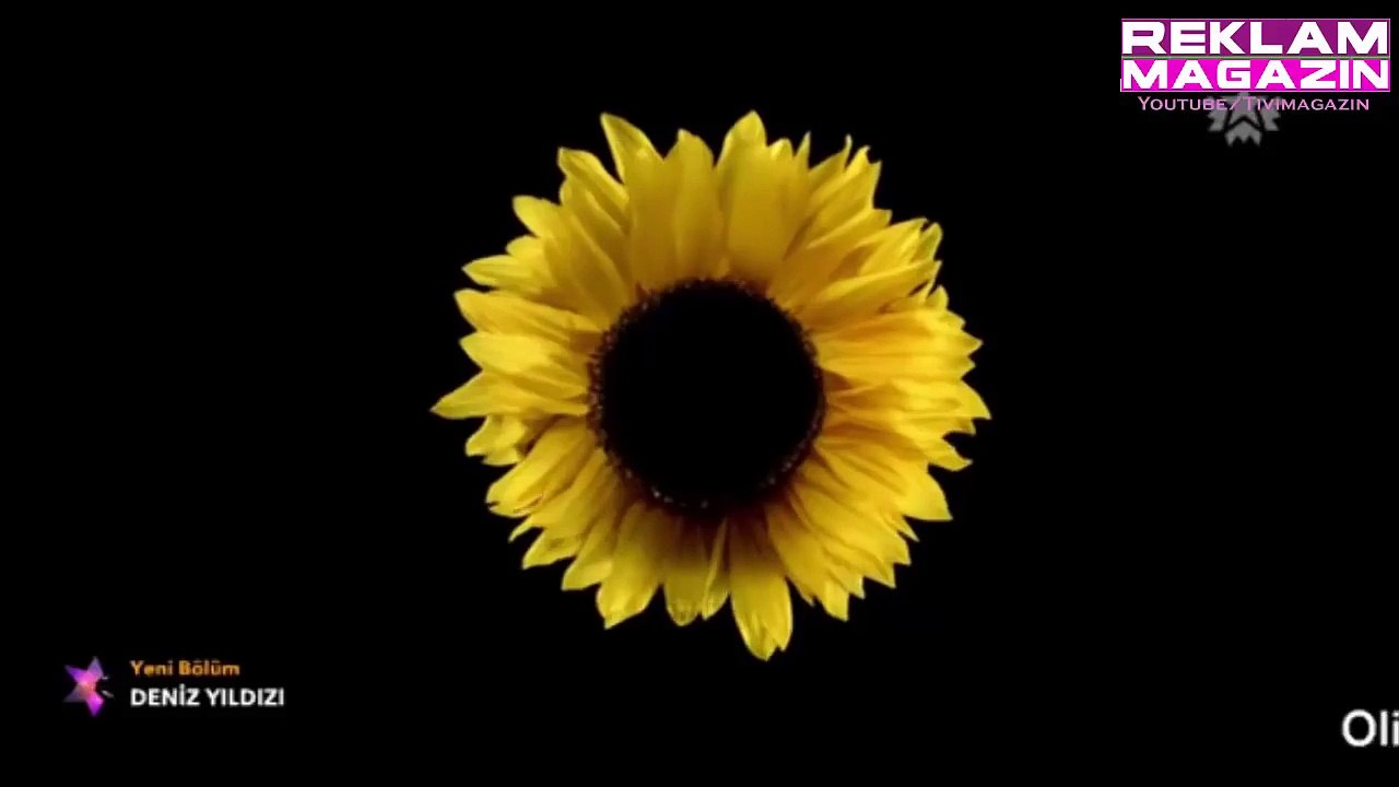 Garnier Olia Çiçeklerin Gücü Reklamı