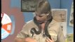 Steve Irwin gets bitten by snake on a TV show- Handles it like a boss